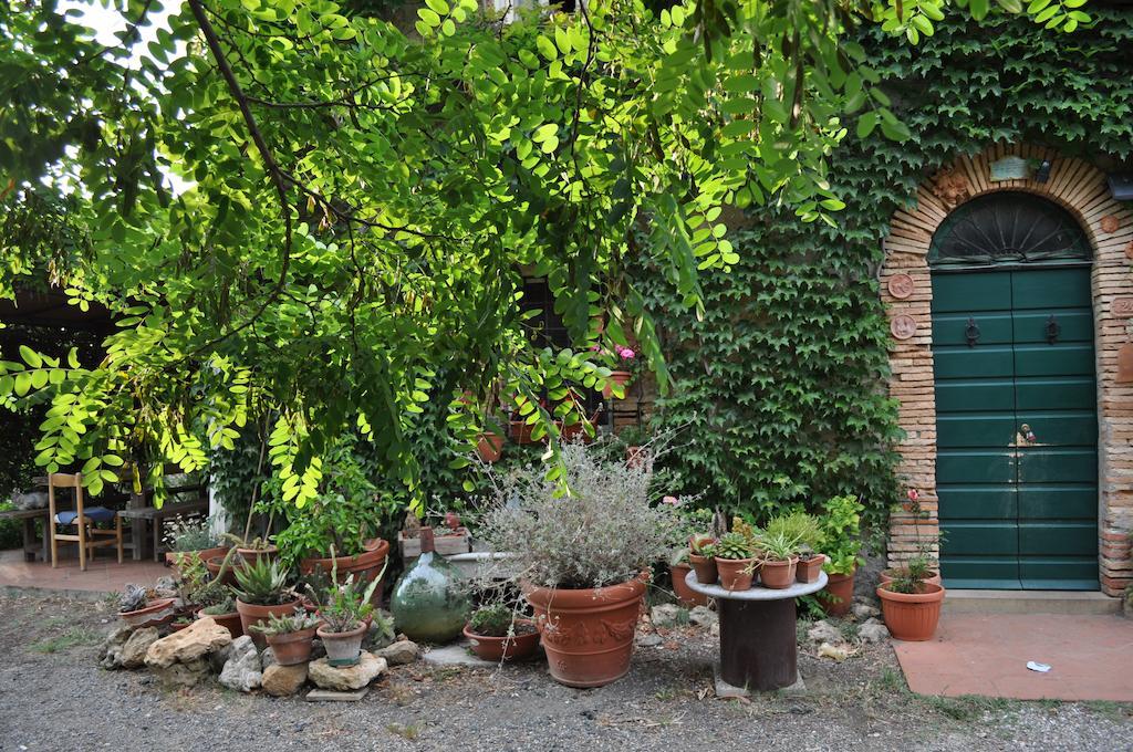 Agriturismo La Leccia Bibbona Exterior foto