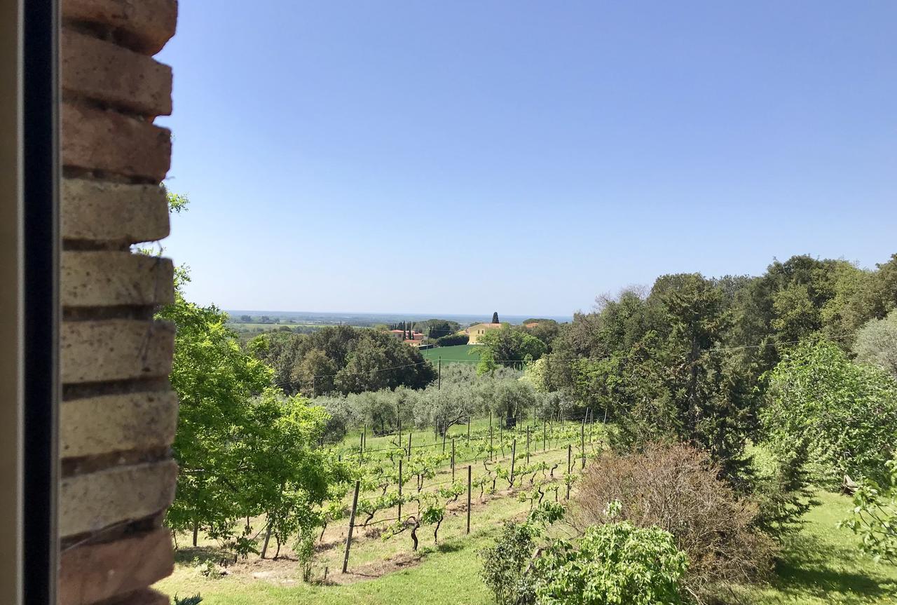 Agriturismo La Leccia Bibbona Exterior foto